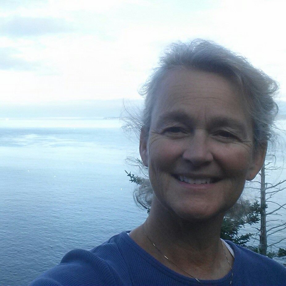 Portrait of Dr. Robin Chamberlain, Network Leader & Catalyst